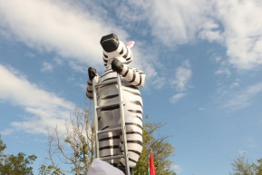 Hadházy: Szívesen megmutatom Mészáros Lőrincnek a zebrákat