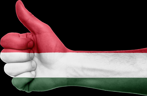 Zászlólengetés és népies önellátás -Nemzetközi lapszemle