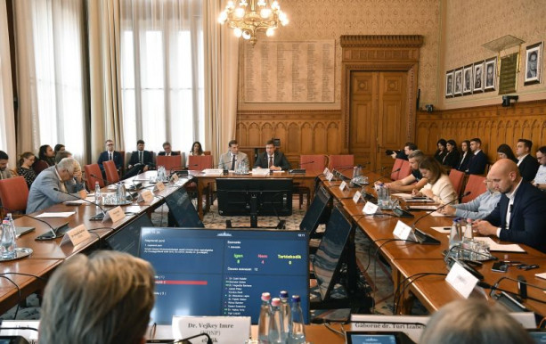 Nem mentek át a kémiai kasztrációról szóló javaslatok az igazságügyi bizottságon