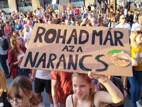 Törley Katalin: A demokrácia napja van, demokráciában akarunk élni