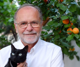 Könyvkiadó, tanácsadó, stratéga