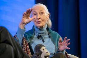 Meghalt Jane Goodall