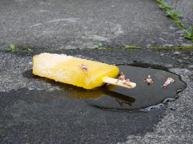 Szép blogbejegyzéseknél többet vár a főváros Ádertől