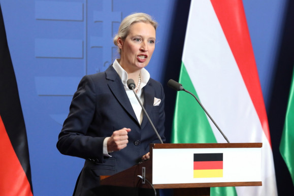 Labrisz: Weidel pártjának nézetei kirekesztenék őt és családját