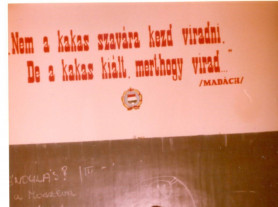 A szemétdombról jelentjük – Dési János jegyzete