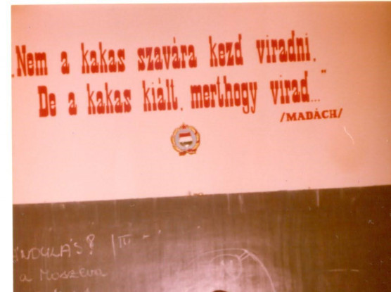 A szemétdombról jelentjük – Dési János jegyzete