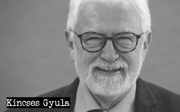 Kincses Gyula: Nem az orvosválasztás átalakítása, hanem a társadalmi egyeztetés hiánya a fő probléma