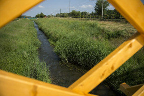 Mészáros Lőrinc öccse 838 milliónyi közbeszerzést húzott be