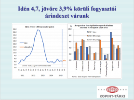 Kopint-Tárki: nem tudja fékezni az árakat az árrésstop