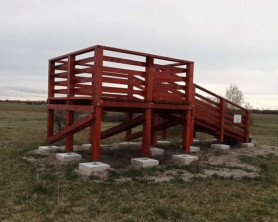 Az erdő nélküli lombkoronasétány után itt a másfél méteres kilátó