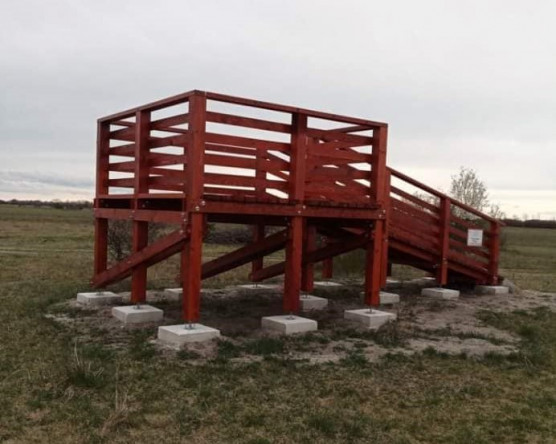 Az erdő nélküli lombkoronasétány után itt a másfél méteres kilátó