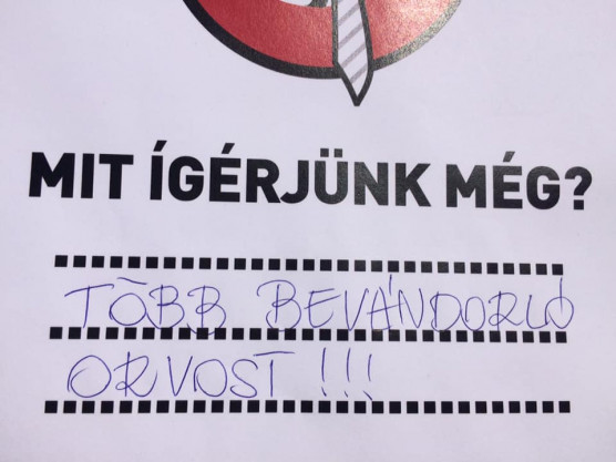 Kutyapárt: a kivándorló orvosok vigyék a betegeiket is!