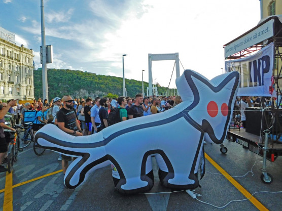 Éjszakáig tüntettek a kutyapártosok az Erzsébet hídnál