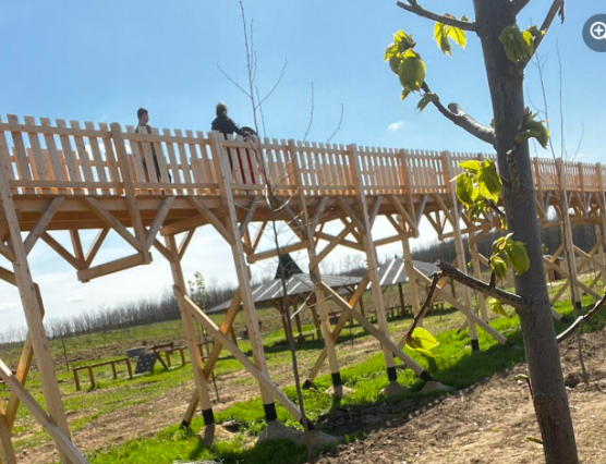 Hadházy: Novák Katalin és a lombkoronasétányos polgármester felesége együtt bazsalygott Csíksomlyón