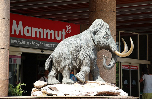 Megint lezuhant és meghalt egy ember a Mammutban