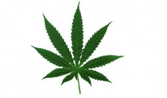 Európában elsőként Luxemburg legalizálta a marihuána fogyasztását 