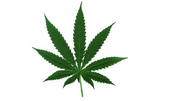 Európában elsőként Luxemburg legalizálta a marihuána fogyasztását 