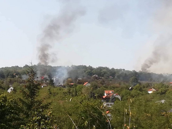 Több ház leégett a pécsi bozóttűzben, amelynek okozója bocsánatot kért