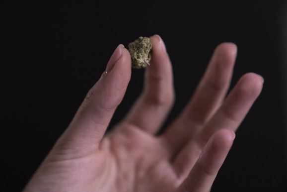 Sárosi Péter: Hiányzik a fogyasztóvédelem a kannabisz esetében