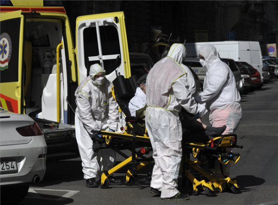 Információ, szakember, eszköz kell a vírus ellen