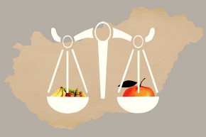 Ajánlatot tenni a népnek – Kárpáti János jegyzete