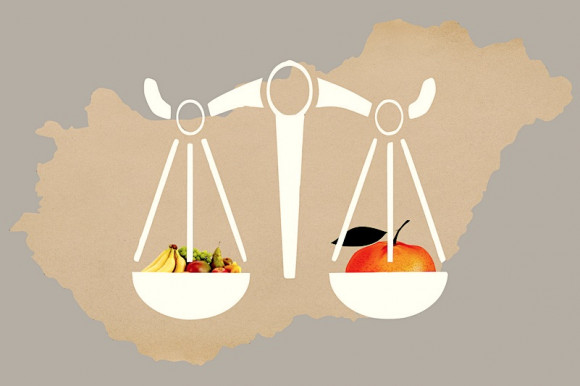 Ajánlatot tenni a népnek – Kárpáti János jegyzete