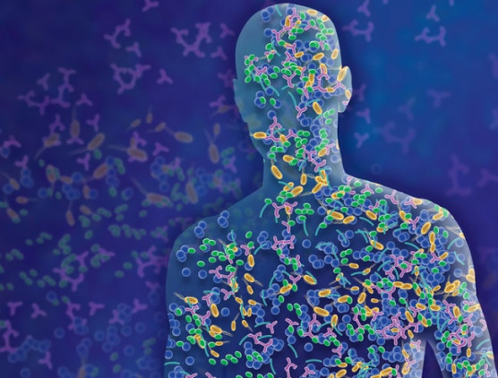 Mi is az a mikrobiom és milyen hatása van beleink állapotának a pszichénkére?