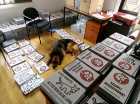 A Kutyapárt Hadházyt támogatja Zuglóban