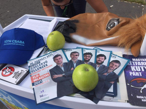 Az MSZP etikai eljárást kezdeményez Hadházyval szemben