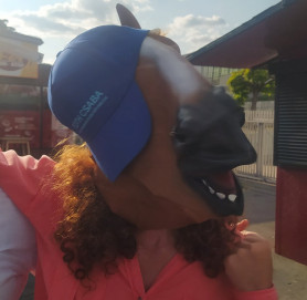 Hadházy reagált: A Kutyapárt nem arra utalt, hogy Tóth Csaba ló lenne