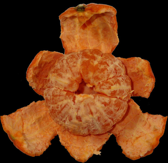 Széttrollkodták volna Orbán beszédét