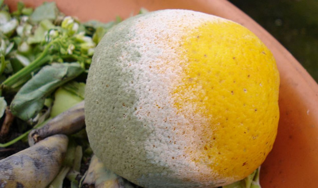 Egyre romlottabbnak látják a Fideszt, de kitartanak mellette