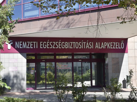 Pintér menesztette a NEAK főigazgatóját