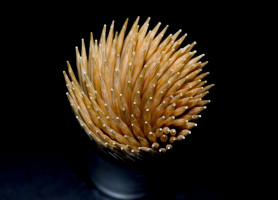 A fogpiszkáló ideje lejárt