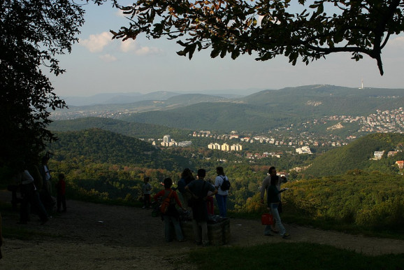 78 lakásos lakópark épülhet a Normafán, a város egyik legértékesebb telkén