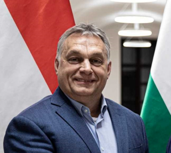 Az Orbán vezette Idősek Tanácsa áfavisszatérítés-bővítést kér az Orbán vezette kormánytól 