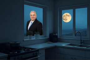 Nőválasztás – Józsa Márta jegyzete