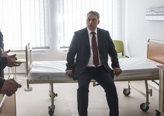 Pinokkió eltöri pálcáját - Para-Kovács Imre jegyzete