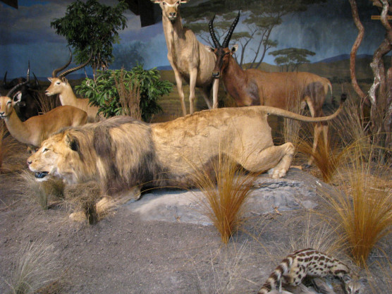 Arató András: Fontos-e a vita?