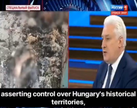 Orosz elemző: Az Orbán-kormánynak döntenie kell Kárpátaljáról