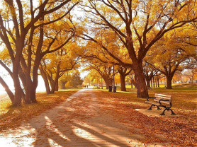 28 fok is lehet pénteken