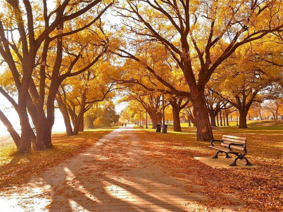 28 fok is lehet pénteken