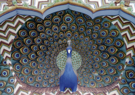 Arató András: Páva, tükör, tánc