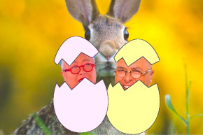 Locsolkodás helyett locsogás