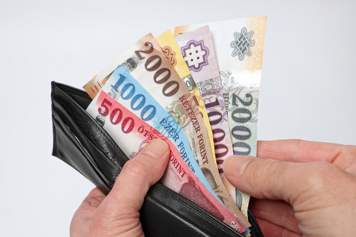pénz, forint, árfolyam, korrupció, infláció, gazdasági válság, áremelkedés, érme, papírpénz