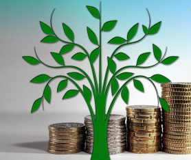 Feleljenek a fizetésükkel az ígérgető polgármesterek!