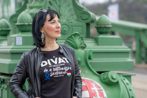 Perintfalvi: Hibás stratégia volt a Bese-üggyel egy időben lehozni a pedofil-ügyeket