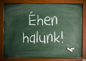 Bünteti a kormány a tanárokat – Rózsa Péter jegyzete