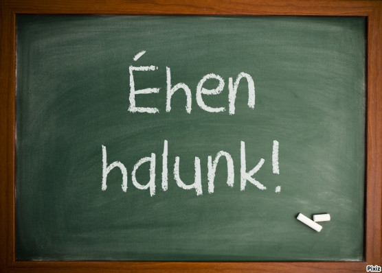 Bünteti a kormány a tanárokat – Rózsa Péter jegyzete