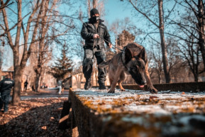 Bombariadó miatt kiürítettek egy iskolát Tiszaújvárosban